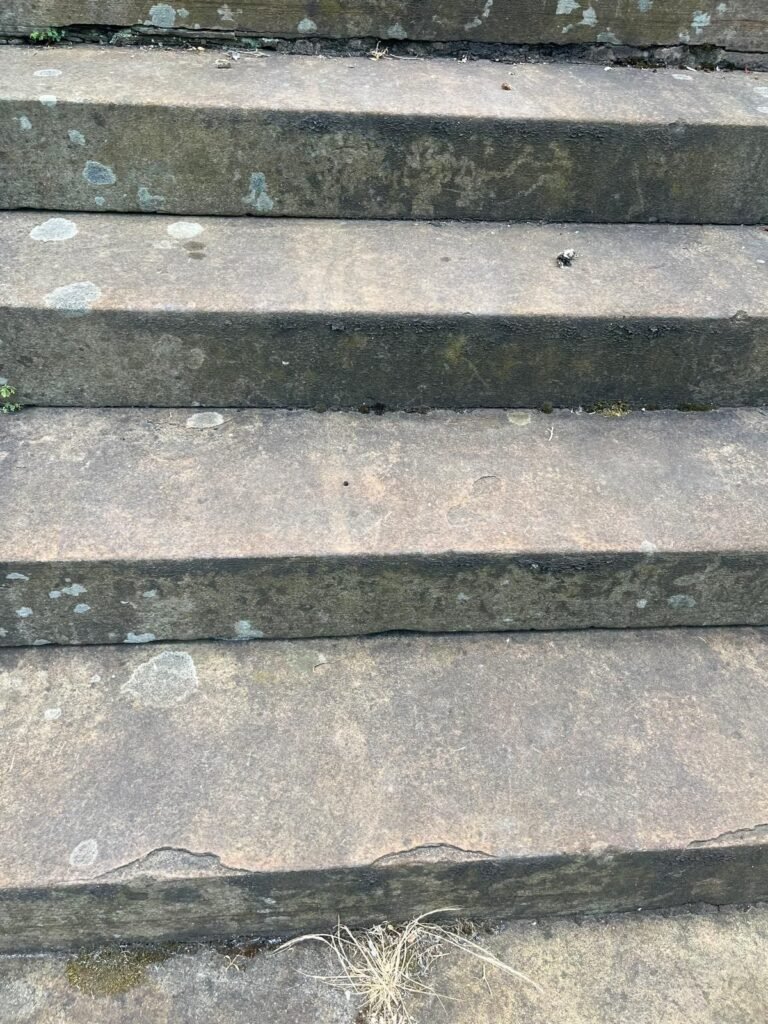 WINDOW CLEANER EDINBURGH | COMMERCIAL &AMP; RESIDENTIAL - TBRYANT WINDOW CLEANING EDINBURGH 01